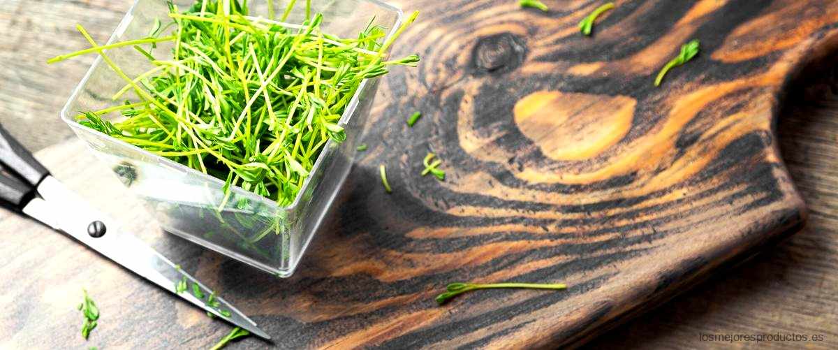 ¿Cuáles son los beneficios del alga kombu?