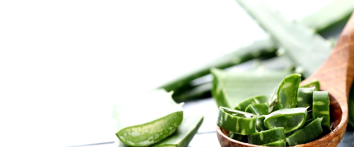 ¿Cuáles son los beneficios del Aloe vera?