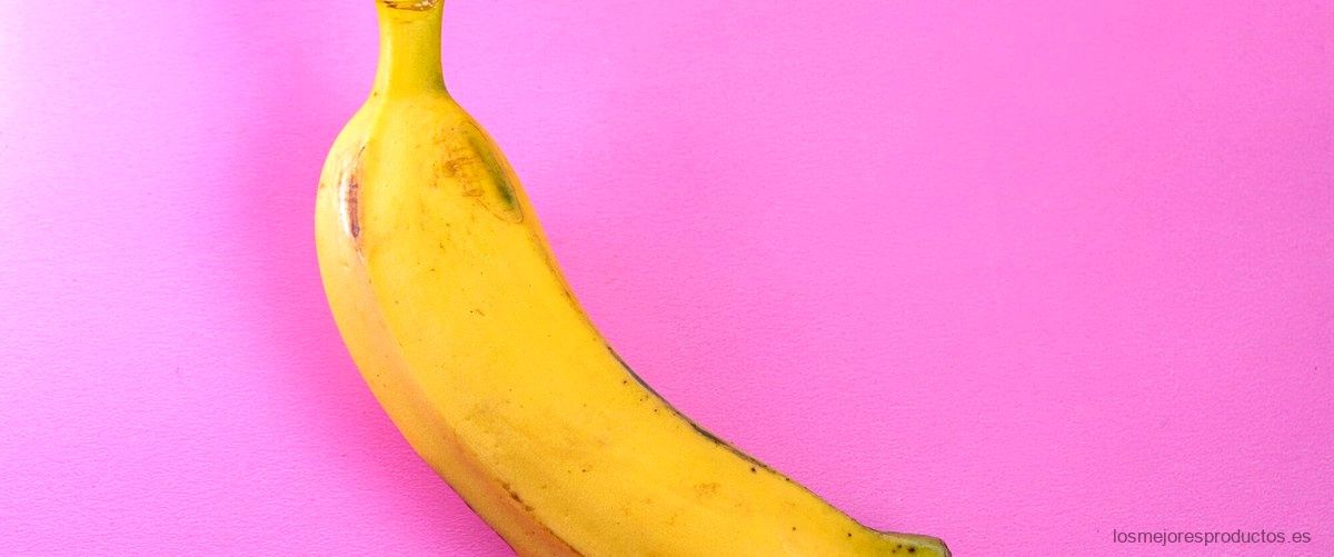 ¿Cuáles son los beneficios del plátano macho?