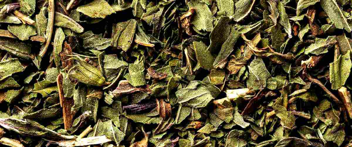 ¿Cuáles son los beneficios del té verde de Mercadona?