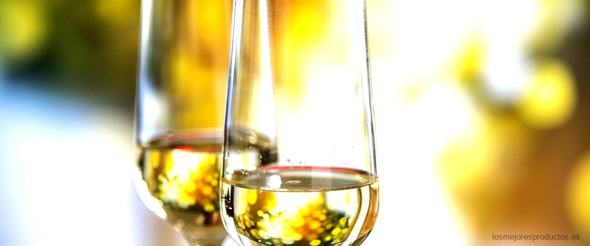 ¿Cuáles son los diferentes tipos de copas de vino que existen?