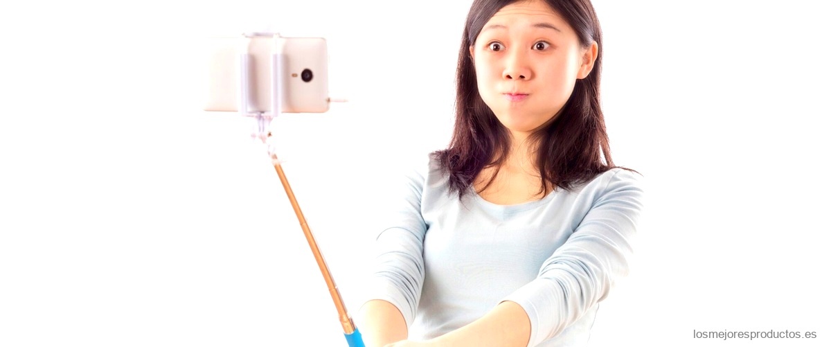 ¿Cuándo se puso de moda el palo selfie?