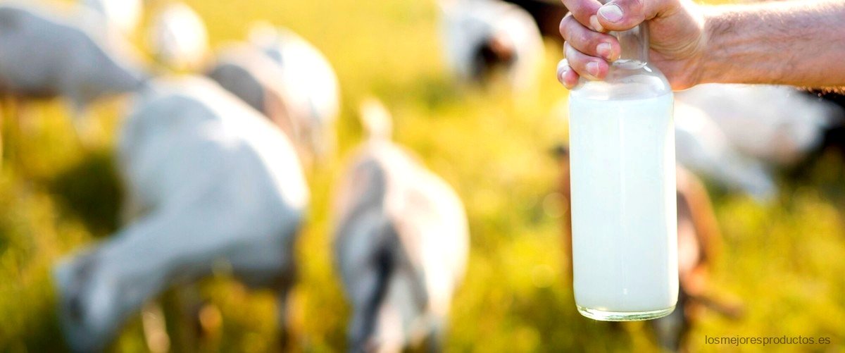 ¿Cuánto cuesta un litro de leche de cabra?