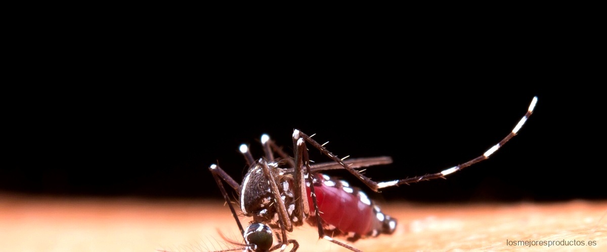 ¿Cuánto tiempo tarda en hacer efecto el antimosquitos eléctrico?