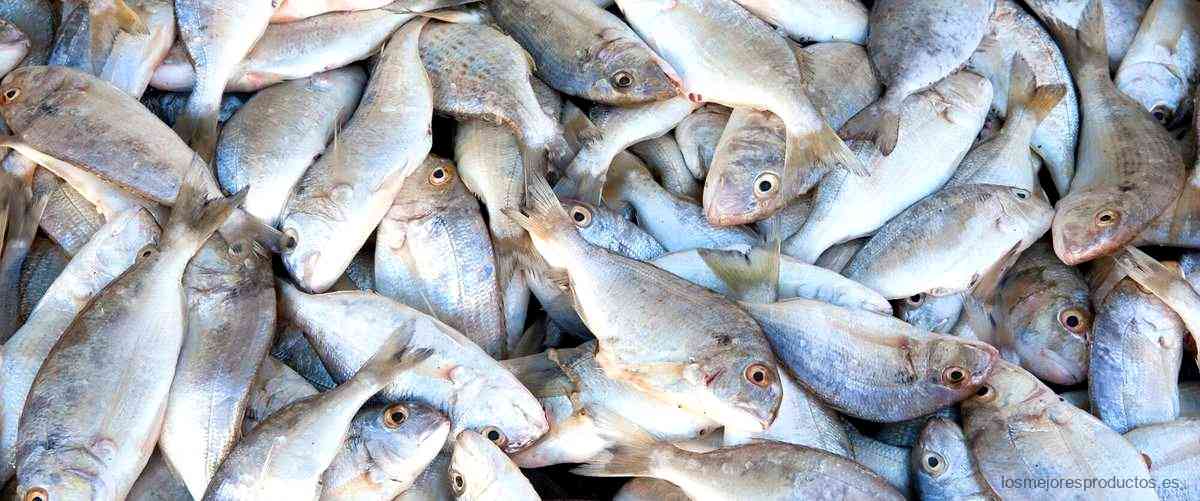 ¿Cuánto vale un kilo de sardinas?
