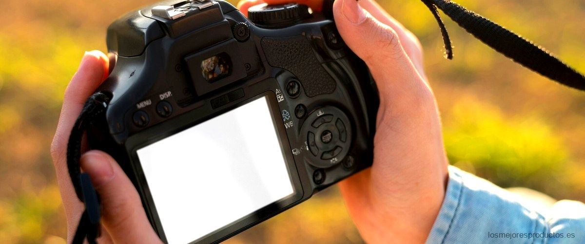 ¿Cuántos puntos de enfoque tiene la cámara Nikon D5100?