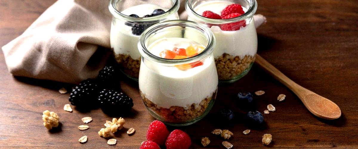 ¿Cuántos yogures de proteína puedo comer al día?