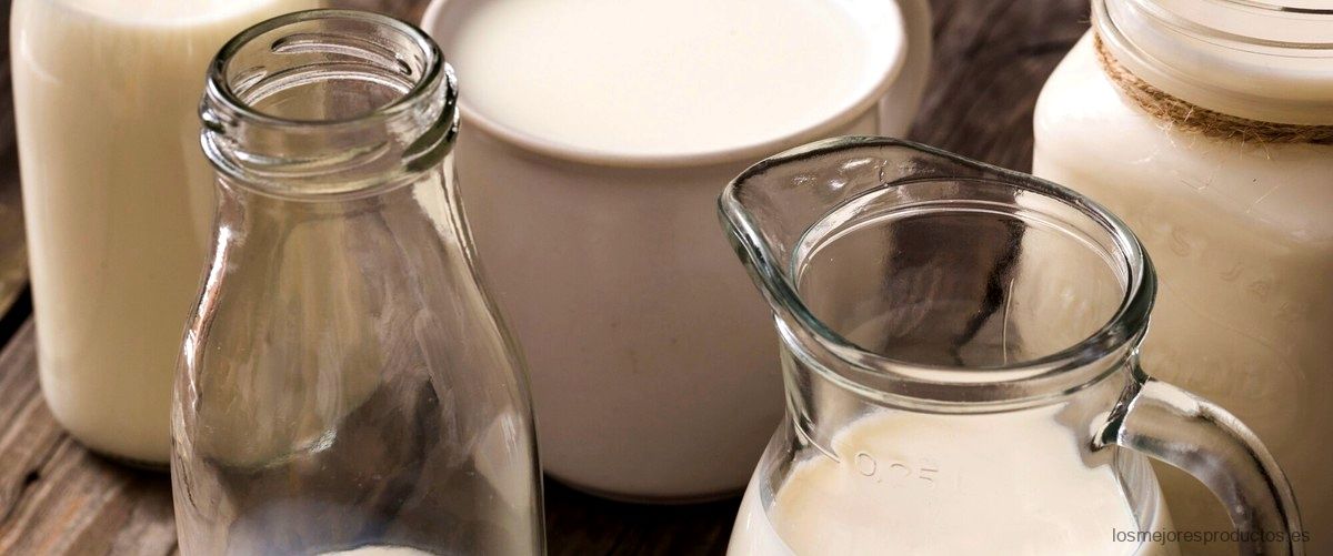 ¿En qué se diferencia la leche sin lactosa?
