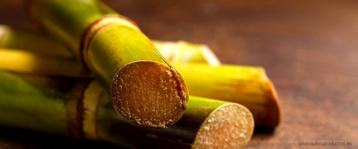 Guía de compra: Agua de Bambú Adolfo Domínguez de Mercadona