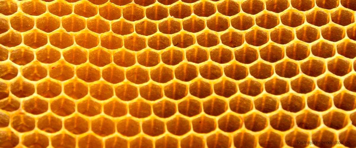 Guía de compra: Cartón nido de abeja Leroy Merlin