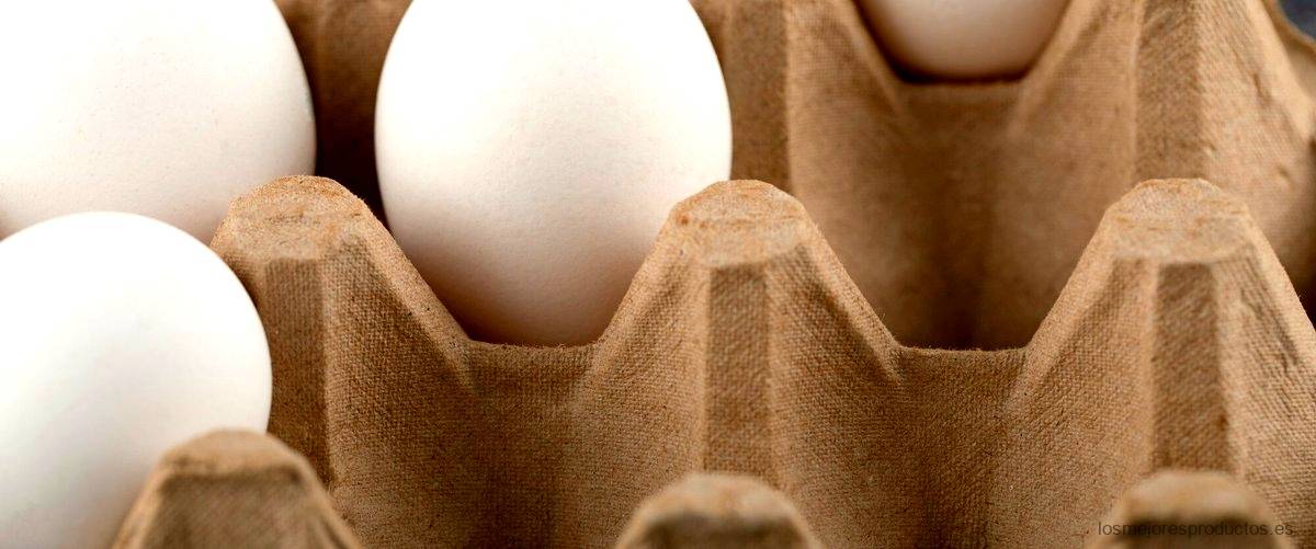 Guía de compra de huevos ecológicos en Aldi
