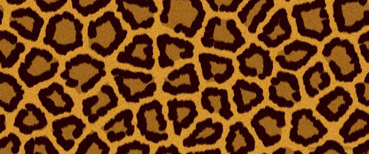 Guía de compra del Leopardo Zara: Elegancia salvaje