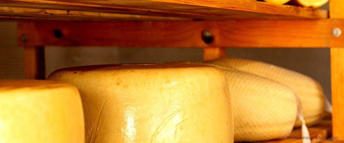 Guía de compra del queso maasdam Mercadona