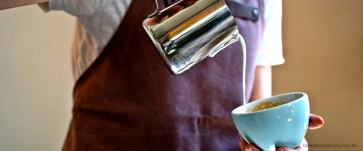 Guía de compra: Jarra cafetera universal Carrefour