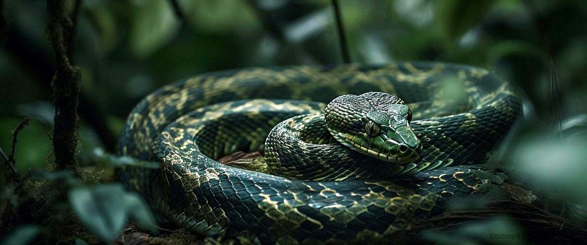 Guía de compra: Trampas para serpientes Amazon