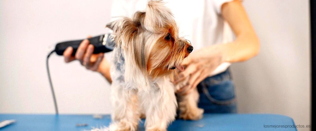 Limador de uñas para perros Lild: Cuida las patas de tu mascota