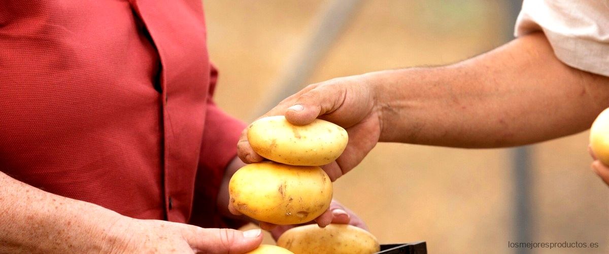 Patatas hijolusa Mercadona: la mejor opción para tus recetas