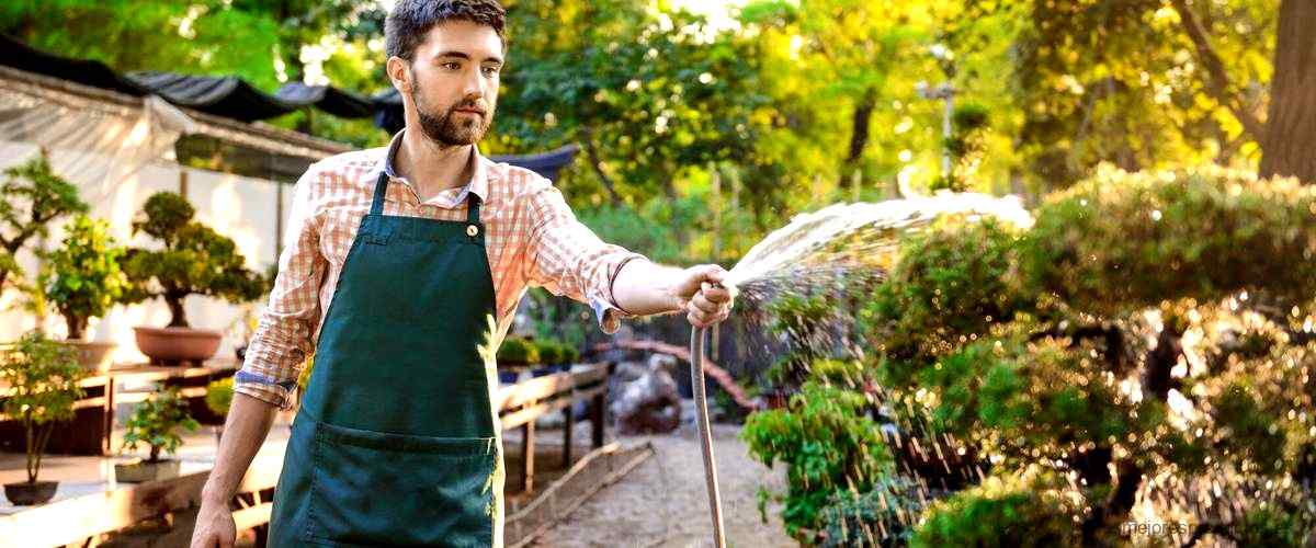 Podadora de altura Leroy Merlin: la herramienta perfecta para tu jardín
