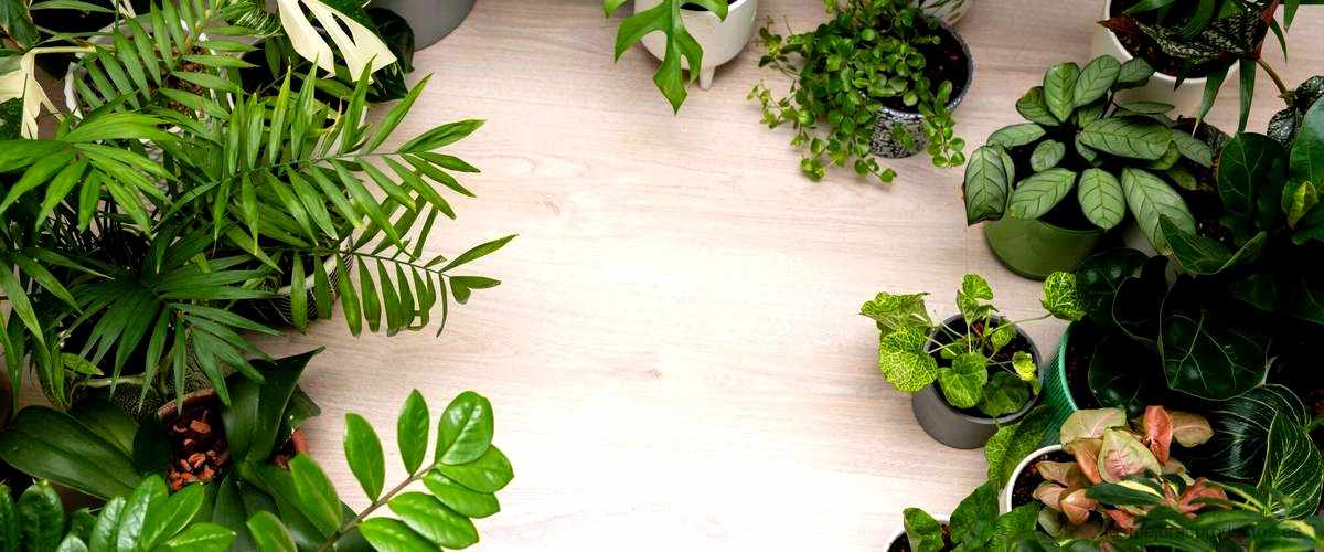 ¿Por qué usar plantas artificiales?