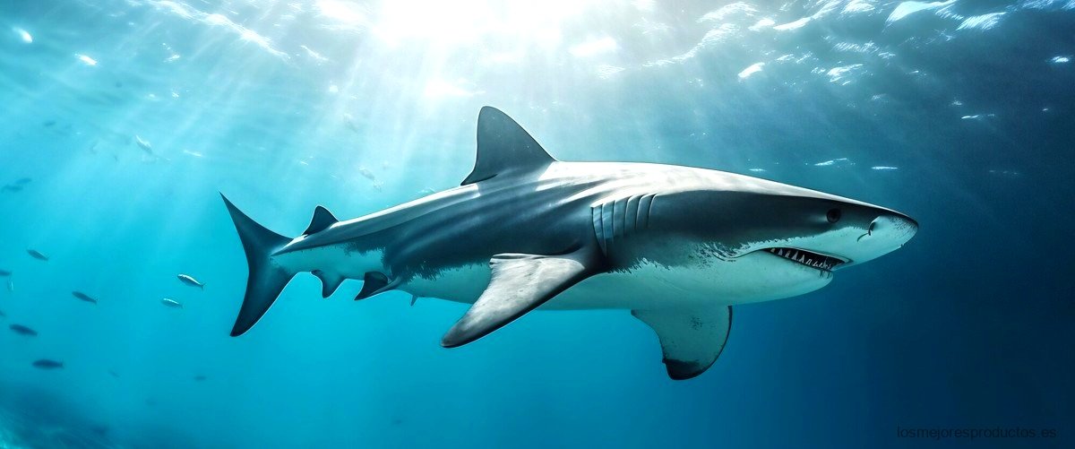 ¿Qué alivia el cartílago de tiburón?