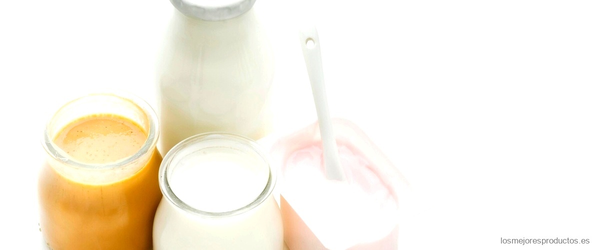 ¿Qué contiene el yogur de soja?