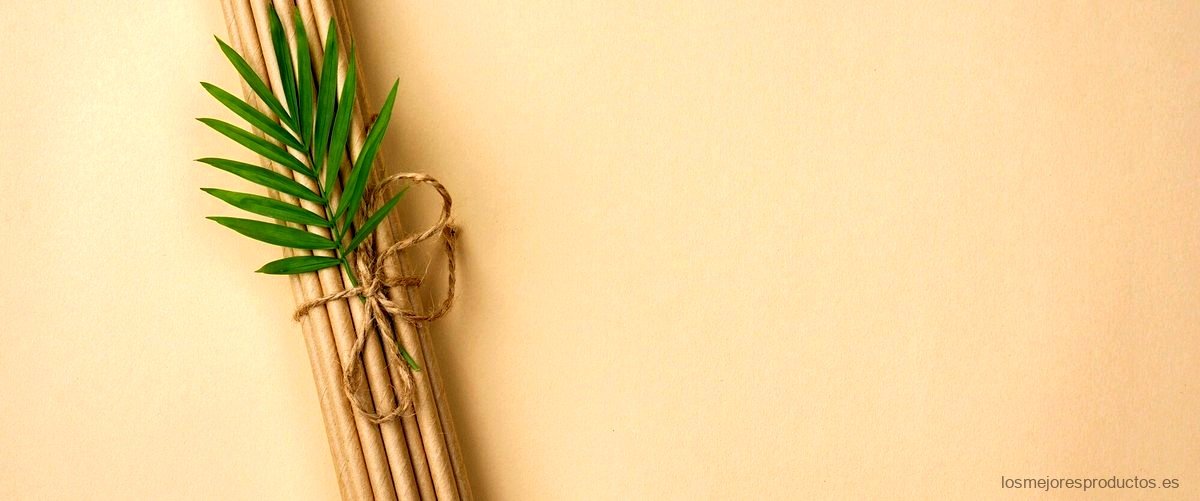 ¿Qué contienen los brotes de bambú?