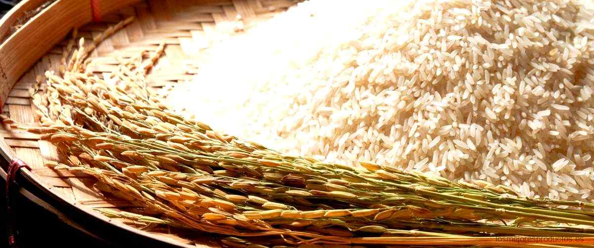 ¿Qué es el arroz J. Sendra?