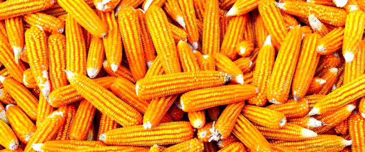 ¿Qué es el maíz dulce en lata?