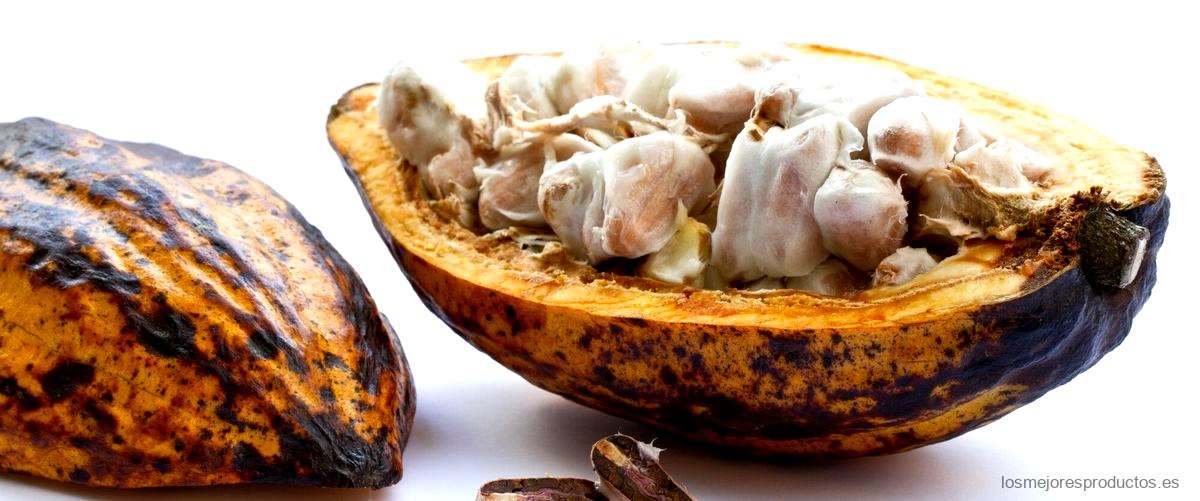 ¿Qué es la manteca de cacao y para qué se utiliza?