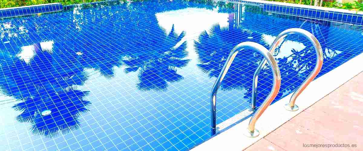 ¿Qué es un limpiafondos de piscina manual?