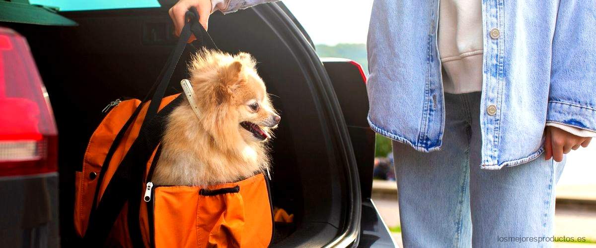 ¿Qué es un transportín para perros?