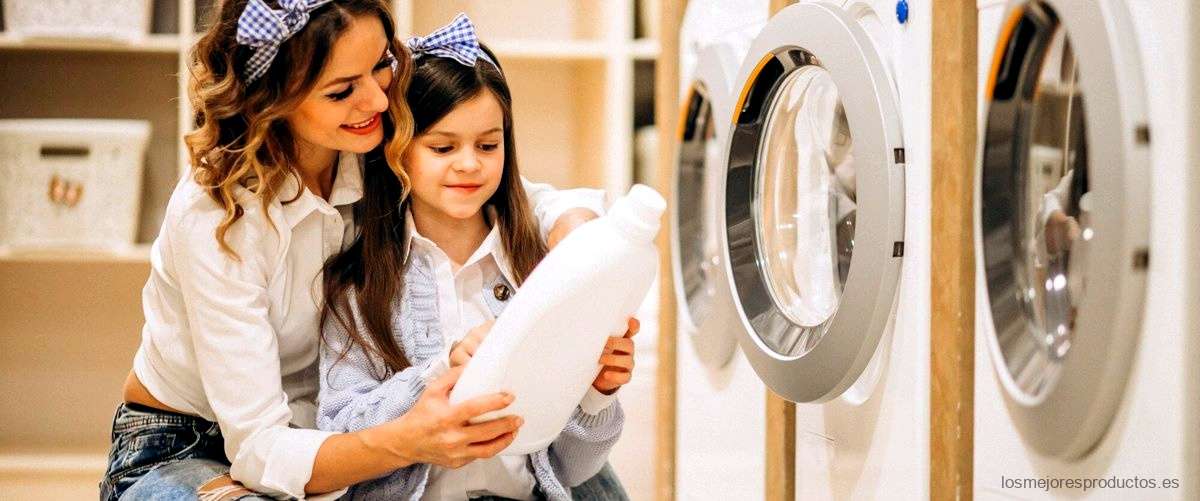 ¿Qué es una lavadora panelable?