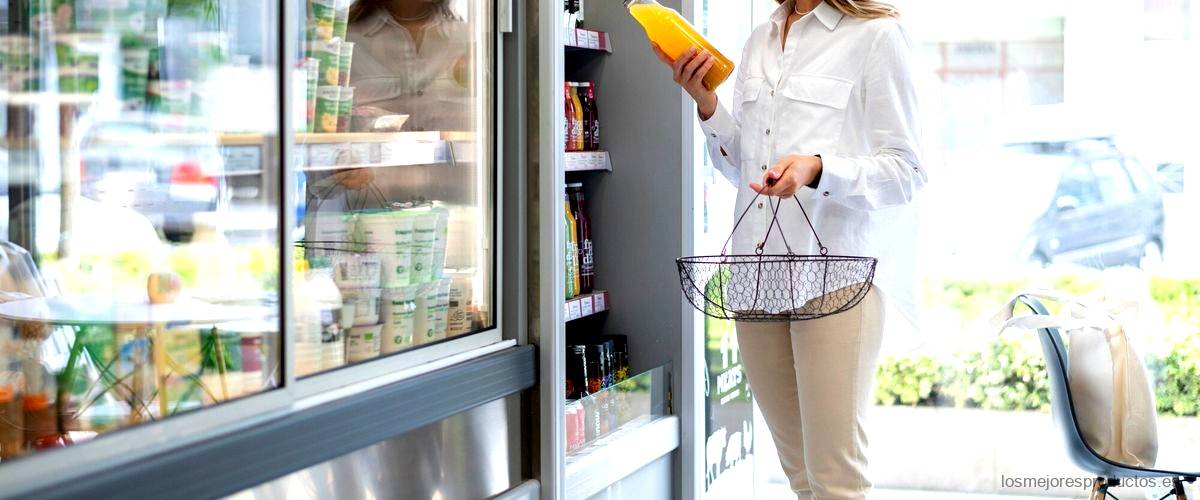 ¿Qué hay que tener en cuenta a la hora de comprar un congelador?