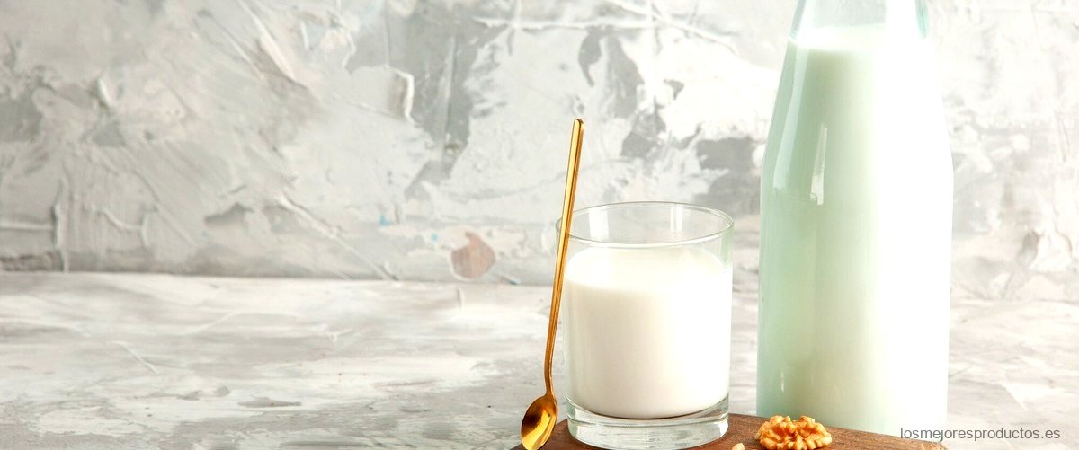 ¿Qué leche sin lactosa es buena?