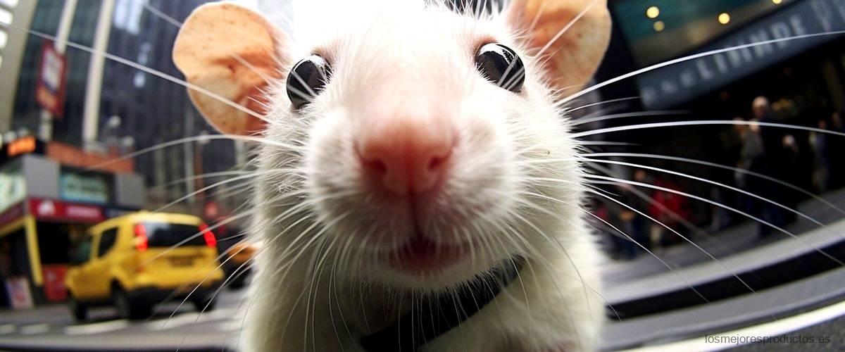 ¿Qué necesita un ratón inalámbrico?