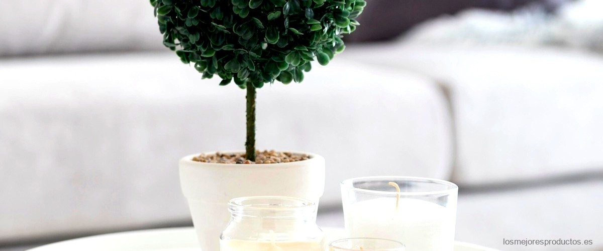 ¿Qué significa tener un bonsái artificial en casa?
