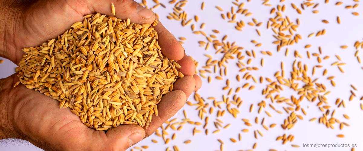 ¿Qué sucede si tomo germen de trigo?