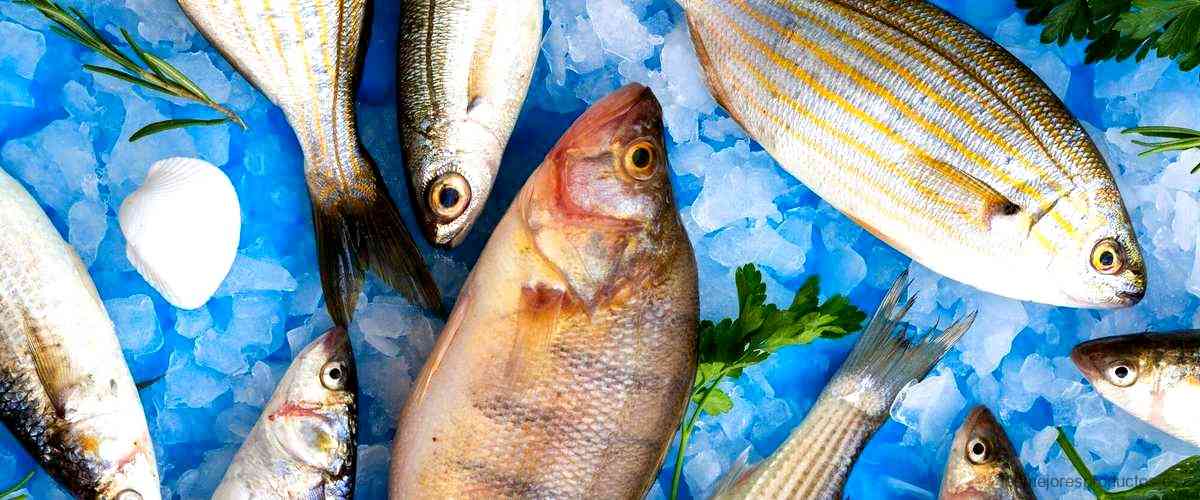 ¿Qué tan buenas son las sardinas en lata?