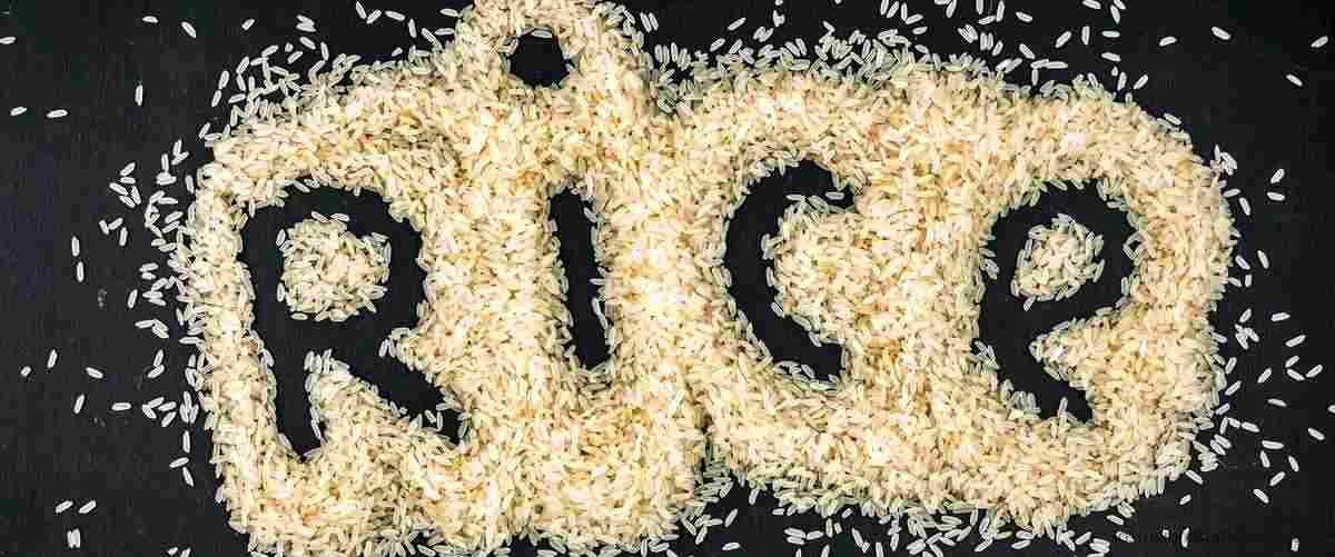 ¿Qué tipo de arroz se parece al basmati?