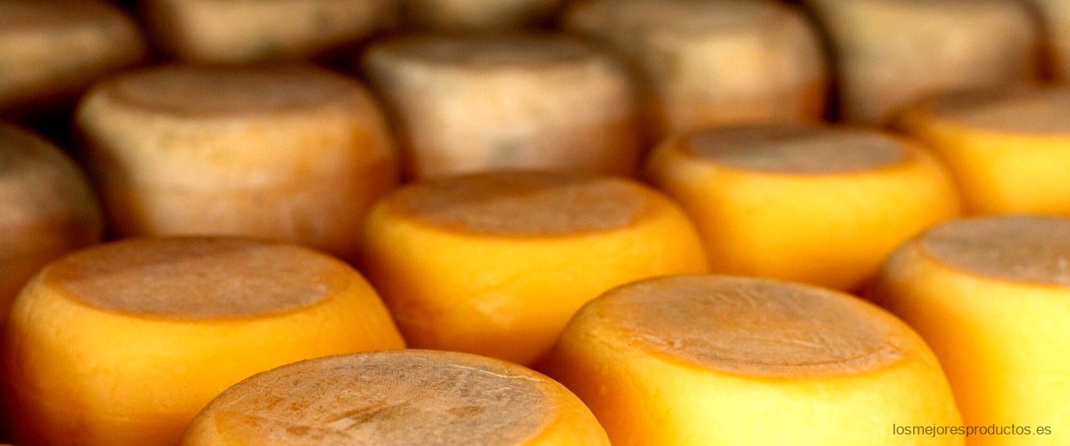 ¿Qué tipo de leche se utiliza para hacer el queso Idiazabal?