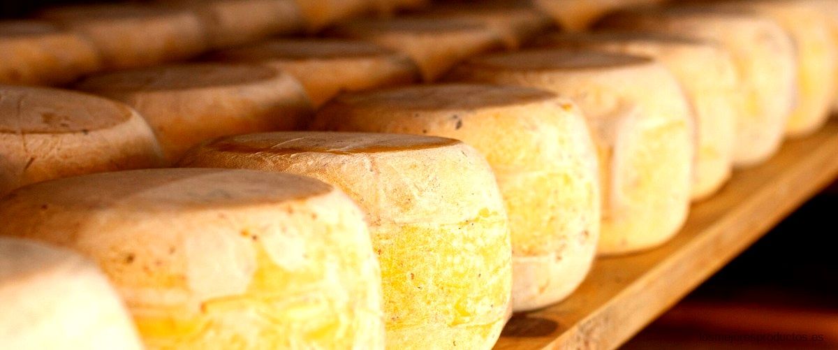 ¿Qué tipo de queso es el provolone?