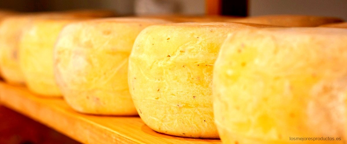 ¿Qué tipo de queso es el queso añejo?