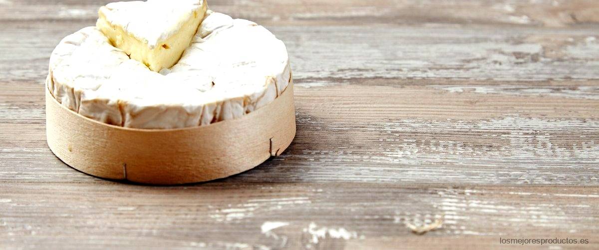¿Qué tipo de queso es el queso Brie?