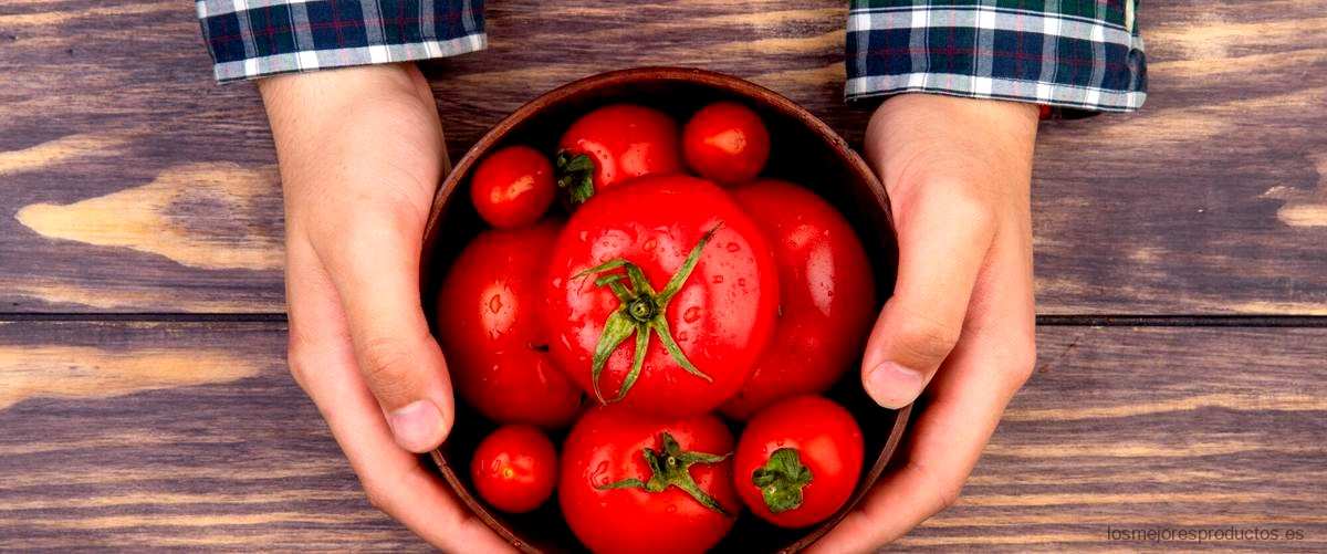 ¿Quién fabrica el tomate triturado de Carrefour?