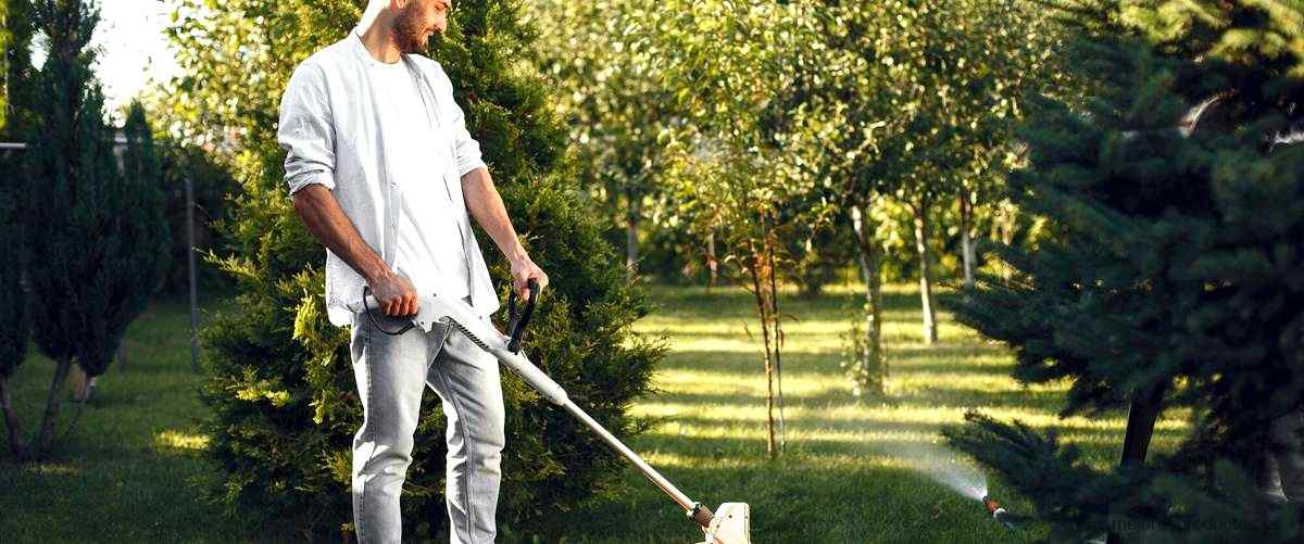 Rascador malas hierbas Leroy Merlin: la solución perfecta para tu jardín